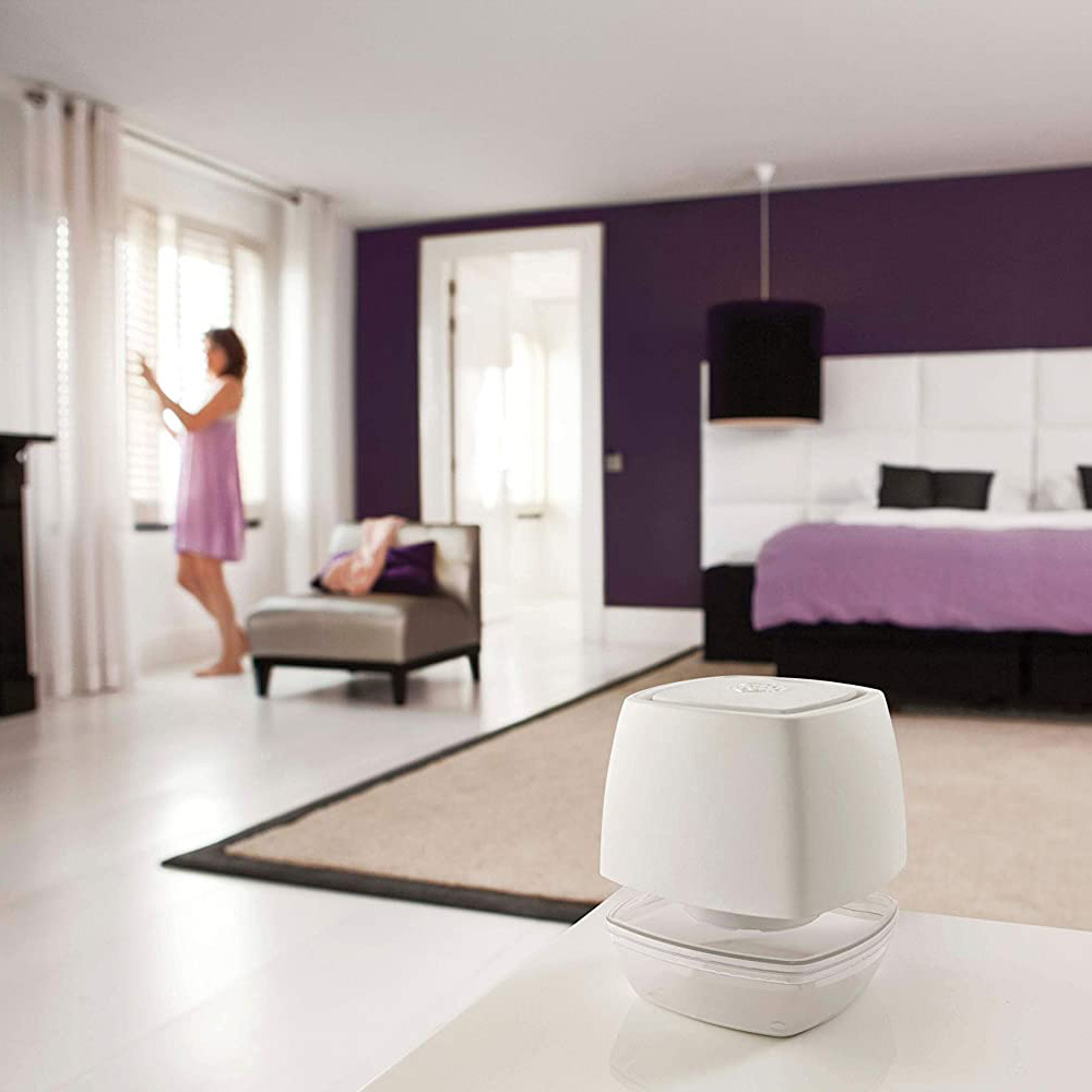 Vaschetta Assorbi Umidità Ambiance con Tab Magnete Neutra 450 gr AIR MAX